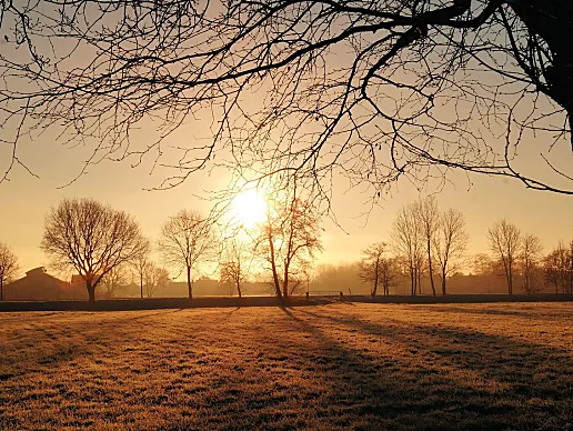 零壹捌楼：人生进步的阶梯，个人成长加速器！