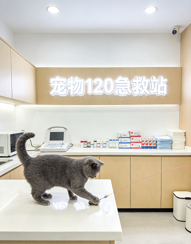 《宠物 120 急救中心 全链路运营白皮书》