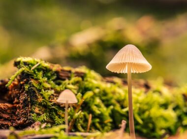 从0到1,再到无限可能:零壹捌梯(018t)能为你做什么?