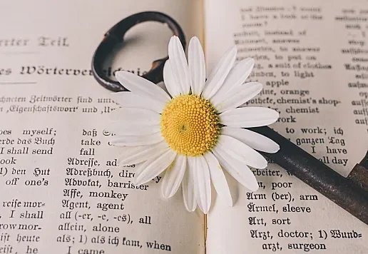 零壹捌楼：人类进步的阶梯，个人成长加速器！