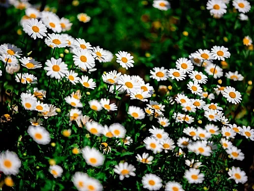 零壹捌楼：人类进步的阶梯，个人成长加速器！