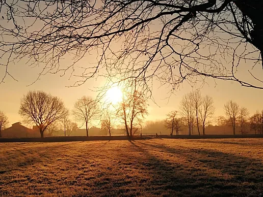 零壹捌楼：人生进步的阶梯，个人成长加速器！