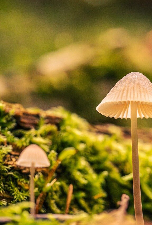 从0到1,再到无限可能:零壹捌梯(018t)能为你做什么?