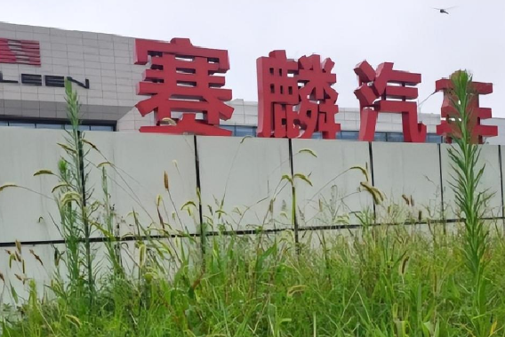 世纪骗王王晓麟!鸟巢开大马戏,66亿造出一台“老头乐”的终极幻术!