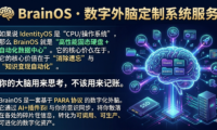 初创技术公司「通路不畅」死亡诊断 — IdentityOS 专项审计报告